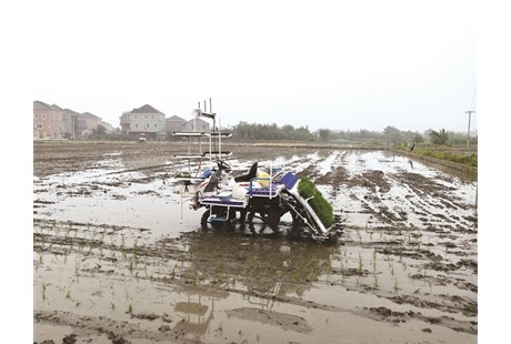 全省首台无人驾驶 水稻插秧机下田作业