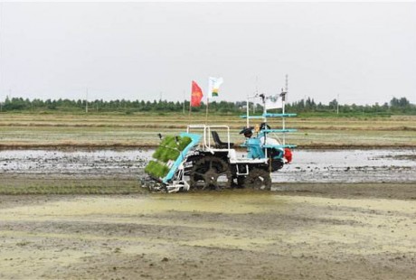 相城一名新型职业农民用上智能无人驾驶插秧机