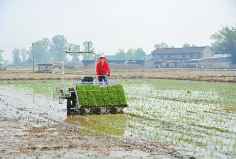 北斗定位,无人驾驶,1小时插秧7亩 这插秧机好牛!